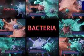Bacteria for Premiere Pro 44561642