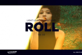 Light Leaks Roll Transitions Vol. 03 46089424