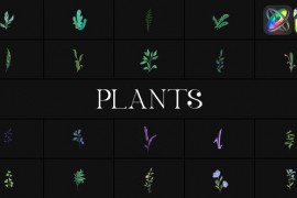 Plants for FCPX 51666183