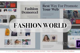 Fashion World Reel 52794225