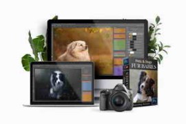 LSP Actions – Fur Babies v3 – Photoshop Action Suite
