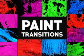 Paint Transitions 28004918
