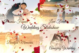 Wedding Slideshow 50237749