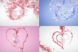 Heart Logo Reveal Bundle 50884031