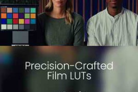 Colorist Factory Precision-Crafted Film Emulation LUT (2024)