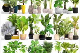 3ddd/3dsky PRO Plants Collection
