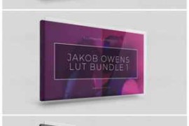 Jakob Owens LUT Bundle Deal - Vamify