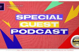 Special Guest Youtube Podcast Intro 46427889