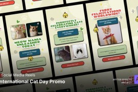 International Cat Day Promo Instagram Reels 46902661