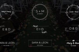 Wedding Titles | FCPX & Apple Motion 34371778