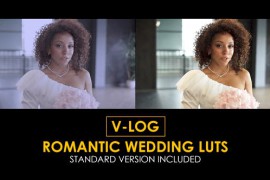 V-Log Romantic Wedding and Standard Color LUTs 51443658