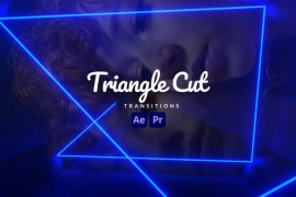 Triangle Cut Transitions 46312838