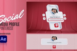 Social Media Profile - Pinterest 48319988