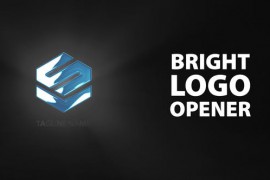 Logo Reveal 45158621