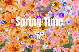 Spring Time Transitions 50823501
