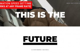 Bold Text Titles \ DR 44356677