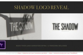 Shadow Logo Reveal 46488715