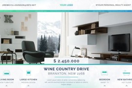 Real Estate IV 47252165