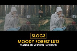 Slog3 Moody Forest and Standard Color LUTs 51104177