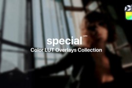 Special Color Presets for Final Cut Pro Vol. 02 48290572