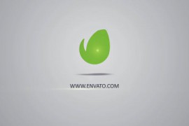 Simple Logo Intro 16638654