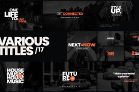 Various Titles 17 45211580
