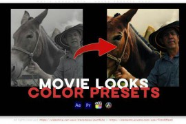 Movie Looks LUTs - Color Presets Pack 50533830