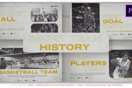 Sport Team History 46488796