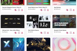 2023.8.8.102.Set.AE.Templates