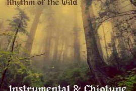 GameDev Market Rhythm Of The Wild | Instrumental & Chiptune Music Collection WAV OGG