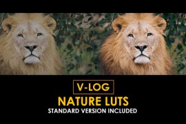 V-Log Nature and Standard Color LUTs 51443818