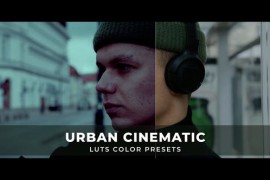 Urban Cinematic Luts 43209620