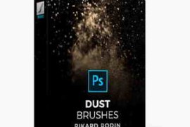 Free Download:Rikard Rodin – Dust PS Brushes