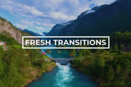 Fresh Transitions 43220406