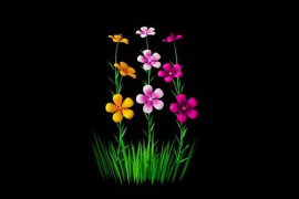 Flowers Colored Blooming Alpha Channel 51713335