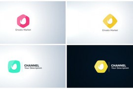 Clean Logo Reveal 20195436