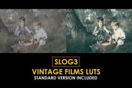 Slog3 Vintage Films and Standard Color LUTs 51062405