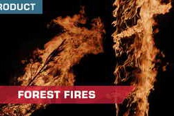 ActionVFX – Forest Fires