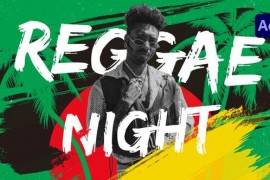Reggae Intro 51520424