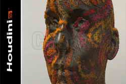 Arnold for Houdini 6.3.5 Win x64