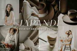 Free Download:FilterGrade – 25 JAPANDI Lightroom Presets
