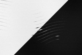 Fluid Lines Logo Reveal 44029589