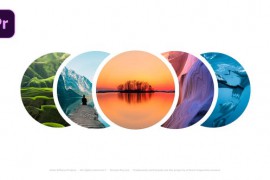 Photo Logo - Reveal Logo 50227582