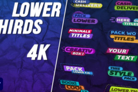 Lower Thirds Style MOGRT 50015660