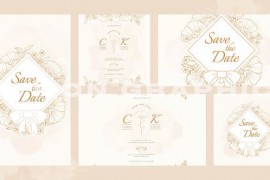 Union Wedding Invitation Intro | Mogrt 51722893