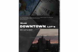 Blindusk – Downtown Luts