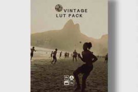 Envijon – Vintage Video LUTs