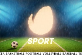 Sport 20207965