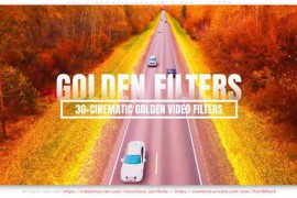 30+ Cinematic Golden Video Filters 56304164