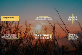 Simple Titles | DaVinci Resolve Macro 44894821